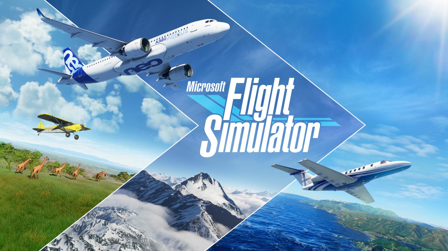 Flight Simulator